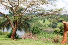 Inmediaciones del lago Victoria