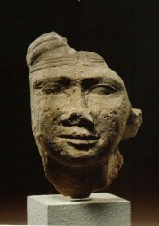 Fragmento de cabeza de estatua de una mujer Caliza 13,4 cm Mastaba D 207 Guiza inv nº 2445 din V-VI