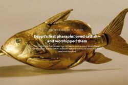 Egypt's first pharaohs loved catfish—and worshipped them