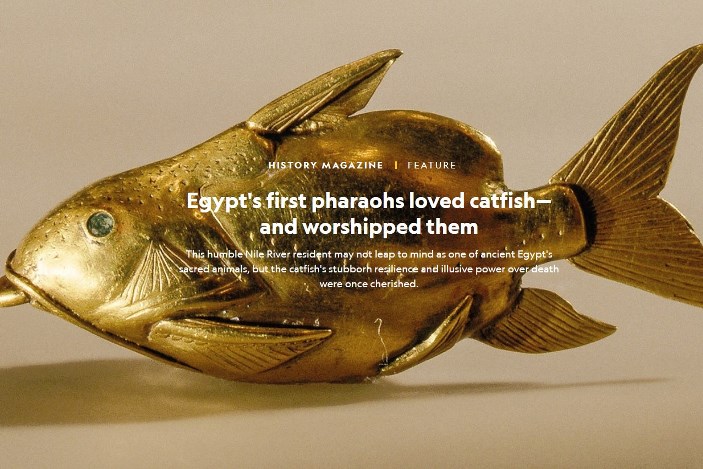 Egypt’s first pharaohs loved catfish—and worshipped them
